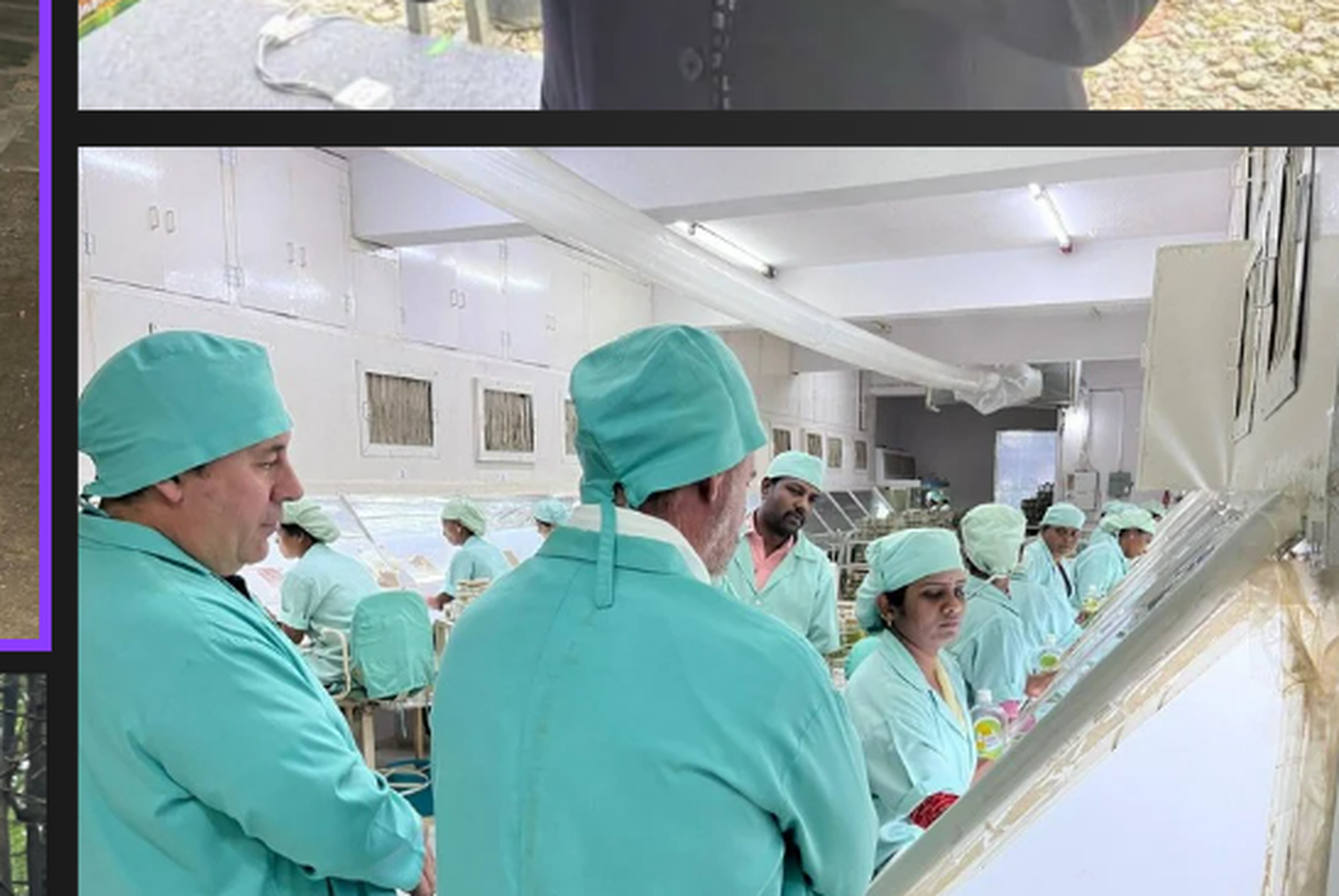 The tissue-culture team working at the clean-room benches